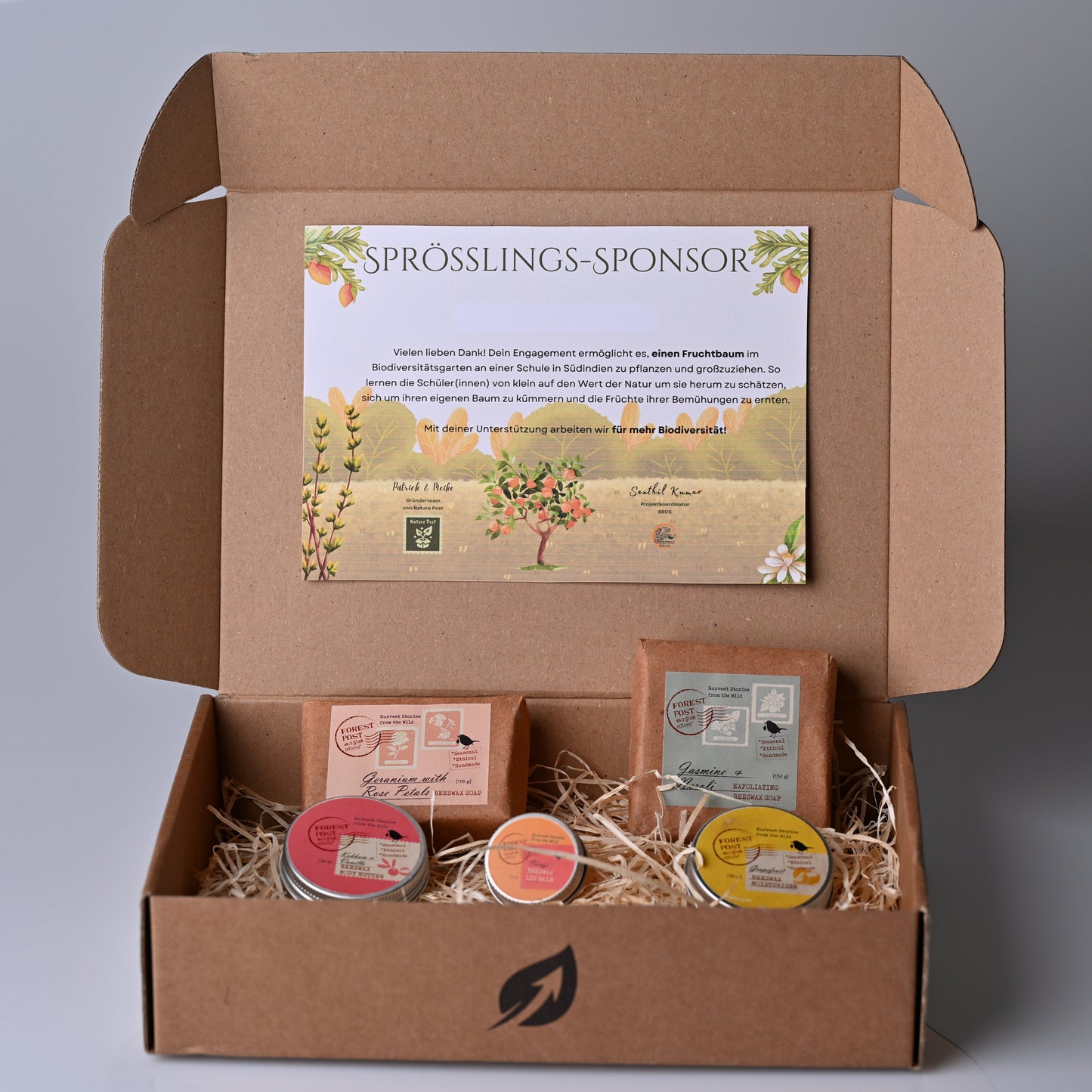 Better Nature Box: Forest Beauty - Deine natürliche Beauty-Box